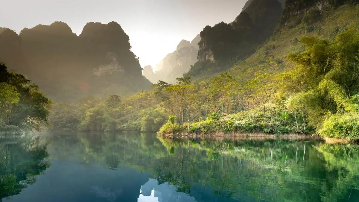 智能系统高效智能系统